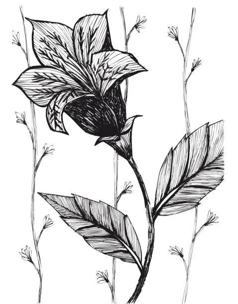 Vector illustration of black and white flower