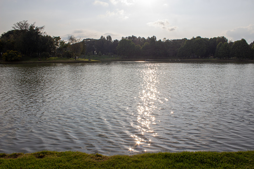 lake in natural park with sun light reflected