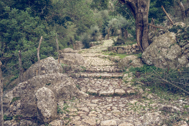 Spectacular scenery of empty aged stone path with stairs in forest going through lush green trees in Biniaraix in Mallorca