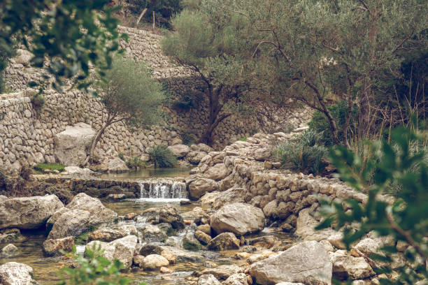 Picturesque scenery of small cascade river streaming through rocky boulders near stone pathway with green trees and bushes in mountains in Mallorca