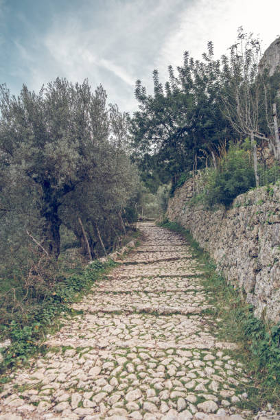 istock Narrow stone pathway in green woods in Mallorca 1970763264