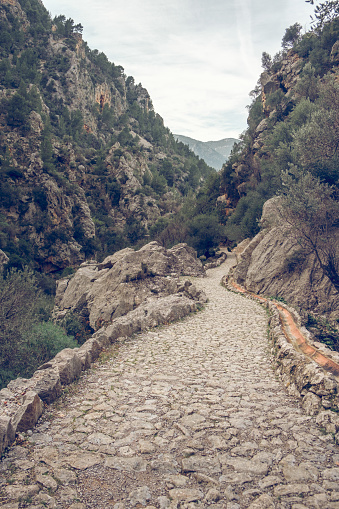 Empty narrow curvy cobblestone footpath surrounded by massive rocky mountains with lush green trees against overcast sky in Biniaraix
