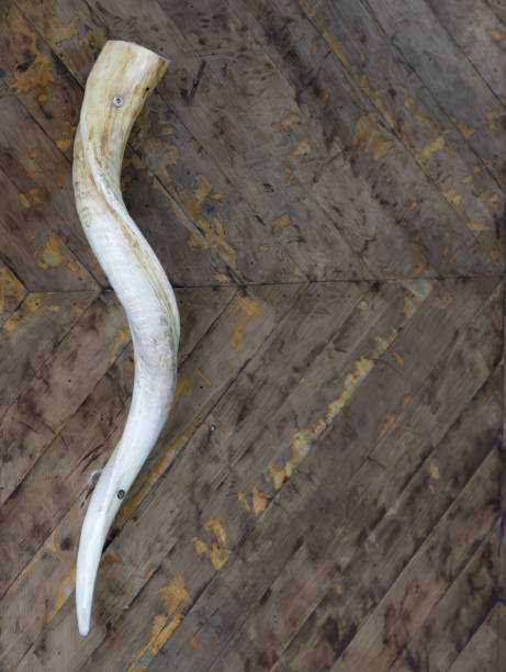 istock Door handle looks like a snake. Pareidolia. 1970775071