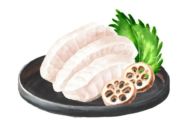 Vector illustration of Japanese fish Sashimi. Hand drawn watercolor illustration,  isolated on white background