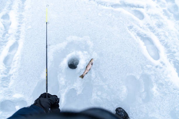 istock Ice fishing catching trout copy space image 1970834286