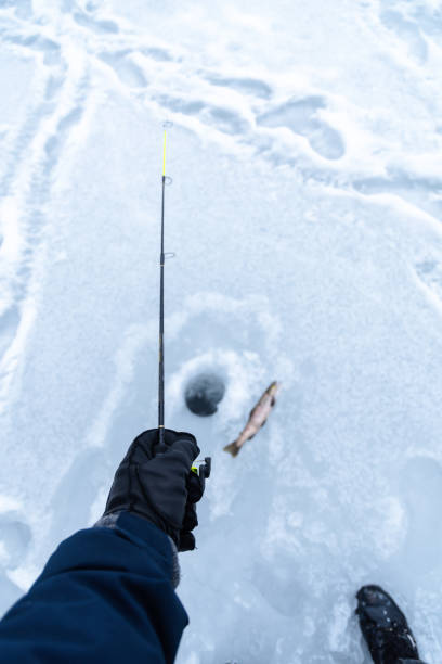 istock Ice fishing catching trout copy space image 1970834792