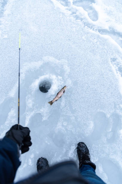 istock Ice fishing catching trout copy space image 1970835809