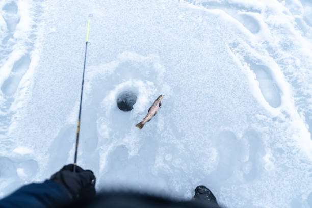Ice fishing catching trout copy space image stock photo