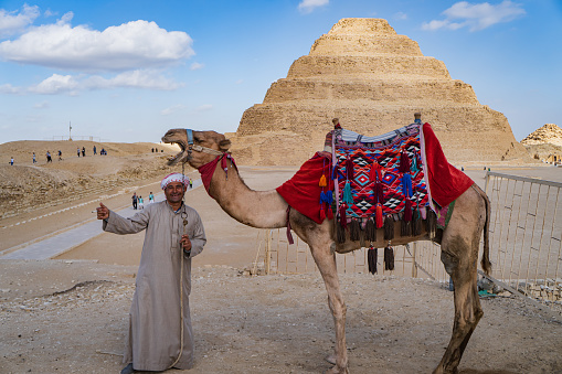 camel driver with his camel before the Step Pyramid of Zoser