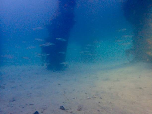 istock Seascape under the Blairgowrie pier 1970849878