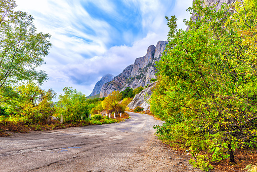 Along the high sheer cliffs, an asphalt road passes along the edge of the cliff in the Crimea. Rare trees grow along the edges of the road. Beautiful warm October autumn weather, a bright sky with cirrus clouds.