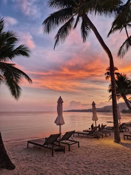 istock Beautiful sunset on the beach 1970855034