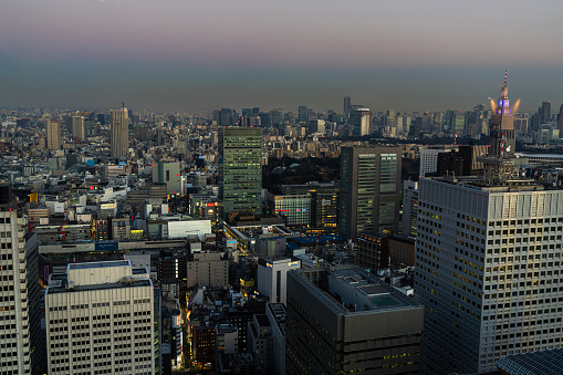 Tokyo, Japan. January 9, 2024. panoramic view of the city at sunset from the Tokyo Metropolitan Government Building North Observatory