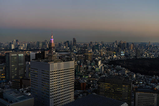 Tokyo, Japan. January 9, 2024. panoramic view of the city at sunset from the Tokyo Metropolitan Government Building North Observatory