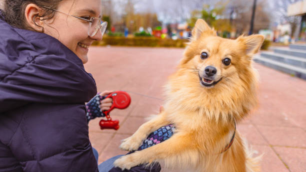 Unrecognizable female pet owner playing with her German-Spitz dog
