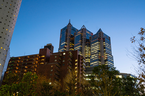 Tokyo, Japan. January 2024. panoramic view of the skyscrapers at sunset in the city center