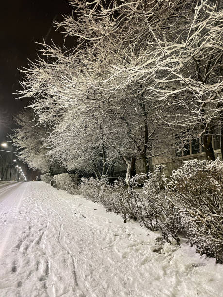 istock Night road in the city during winter. 1970894092