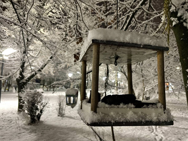 Snow-filled bird feeder in a park at night.