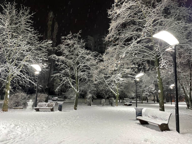 istock Snow-covered city park at night. 1970896215