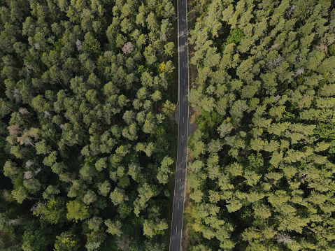 View from above of a asphalt road between forest trees