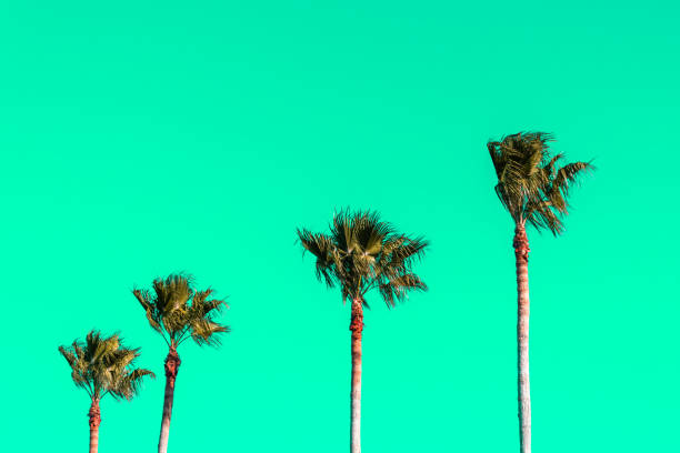 istock Palm Trees in Neon Green Sky 1970922465