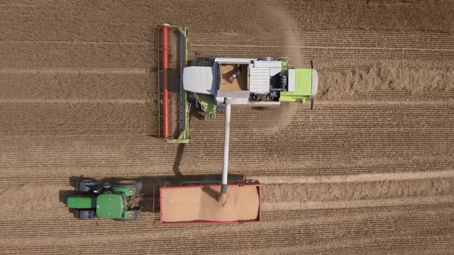 Overhead aerial view of combine harvester harvesting wheat and unloading grains into truck