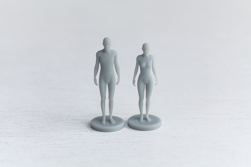 Photo of 3D printer models of human, man & woman.