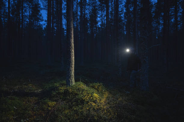 istock A man with a headlamp wanders through a pine dark forest. 1970985348