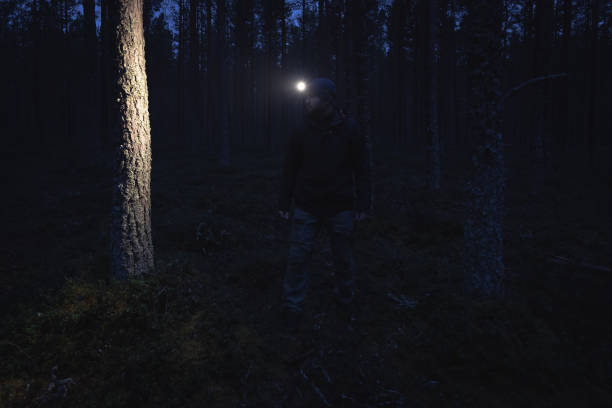 istock A man with a headlamp wanders through a pine forest. 1970988999