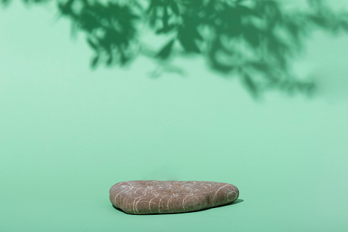 Mock uf photo of a green background with shadows of small leaves of a tree with large flat river stone