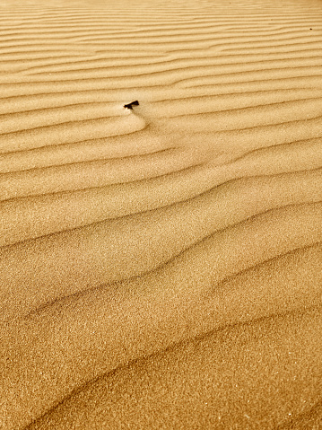 Close up on the ripples formed by the wind in the golden sand of a beach at Pescara,