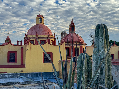 View of the cathedral from a rooftop with cactus in Queretaro, Mexico