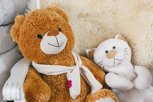 Plush Stuffed Animals – Teddy Bear and Cat