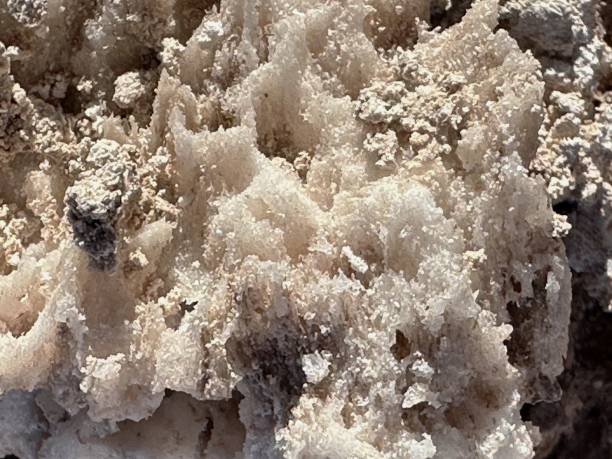 Close up of white natural salt crystals in the salt lake in Salar de Atacama is a salt desert in Chile. Full frame, selective focus, top view.