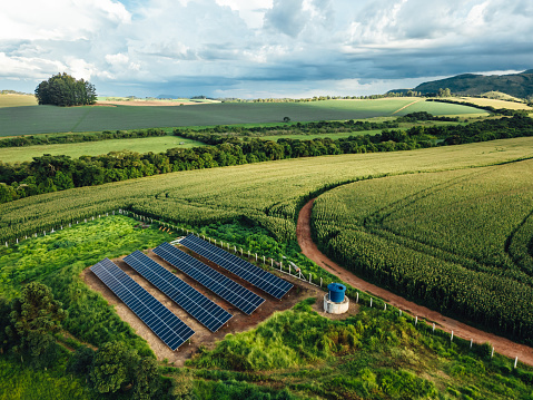 Solar energy panels on corn plantation