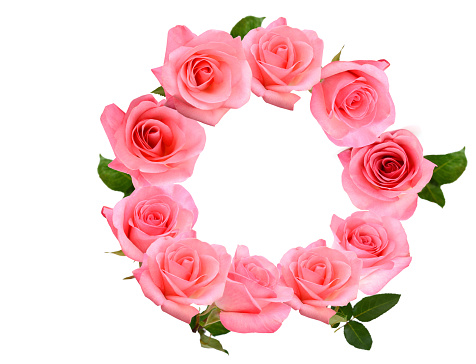 A pink rose wreath isolate white