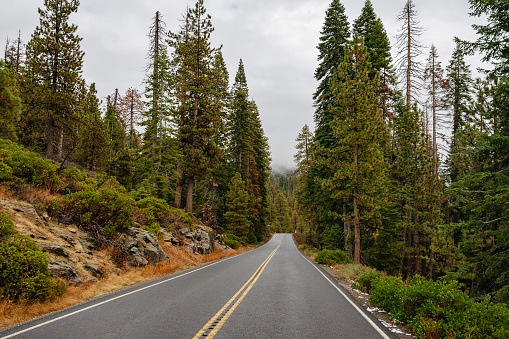 Empty road in Yosemite National Park