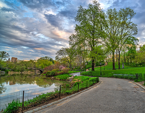 Gapstow Bridge in Central Park , early morning in the spring