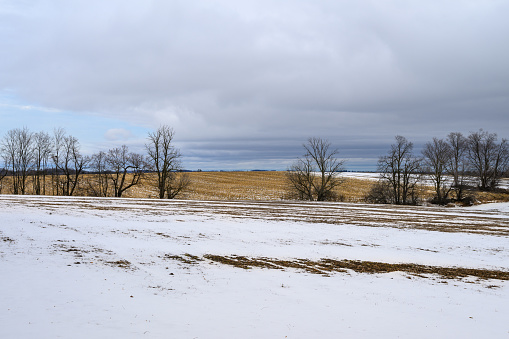 Snow covered rural field