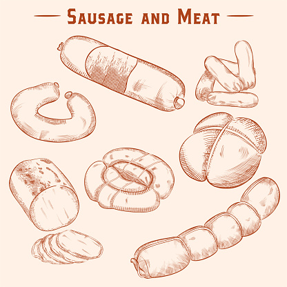Sketches of pork sausage, veal and lamb. Bacon, ham sausage, sausages - engraved vector set. Processed meat products,