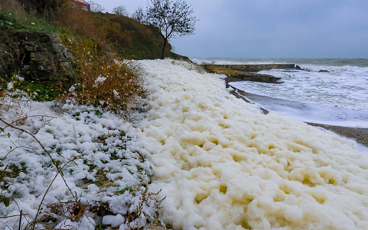 Eutrophication of the sea, Dirty foam on the Black Sea during a storm near the city of Odessa