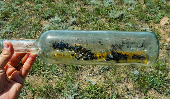 A glass bottle thrown in nature - an insect killer, an ecological problem of garbage in nature, Crimea, Tarkhankut Atlesh