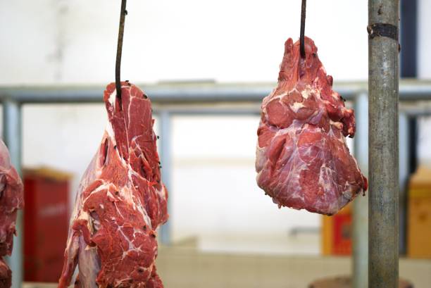 istock beef in the market 1971357930