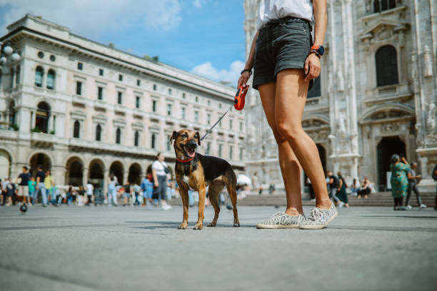 Woman solo traveling through Milan, Italy with her pet dog, enjoying the beautiful streets on a sunny day.
