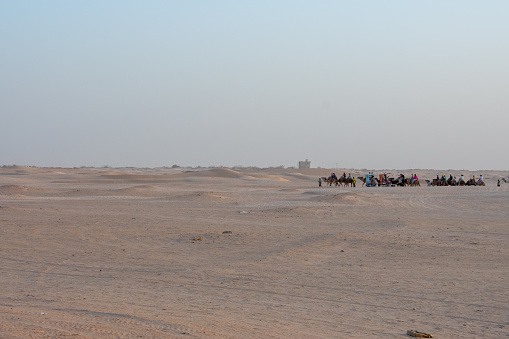 06.11.23 Sahara, Tunisia: Group of tourist ride on camels at sunset in Sahara Desert Tunisia.