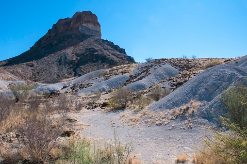 Desert landscape, white stones and volcanic lava in Big Bend National Park in Texas. Wildlife of the state of Texas.