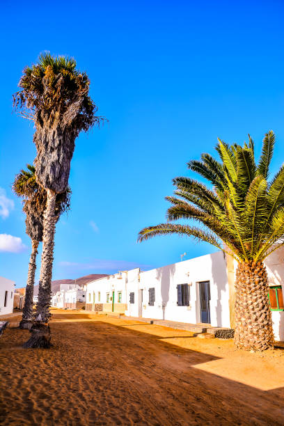 istock Landscape in Tropical Volcanic Canary Islands Spain 1971504697