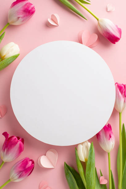 istock Blossoming love: Vertical top view stunning array of tulips and heart embellishments on pastel pink backdrop. Personalize empty circle with sentimental messages or add promotional content effortlessly 1971516616