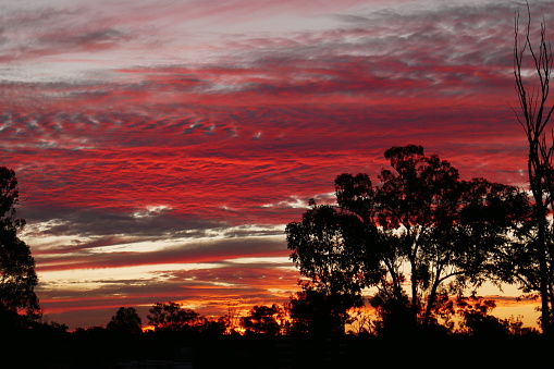 Sunrise in desert sands, Central Australia.