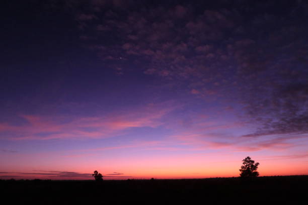 istock Sunset on the Property 1971523215